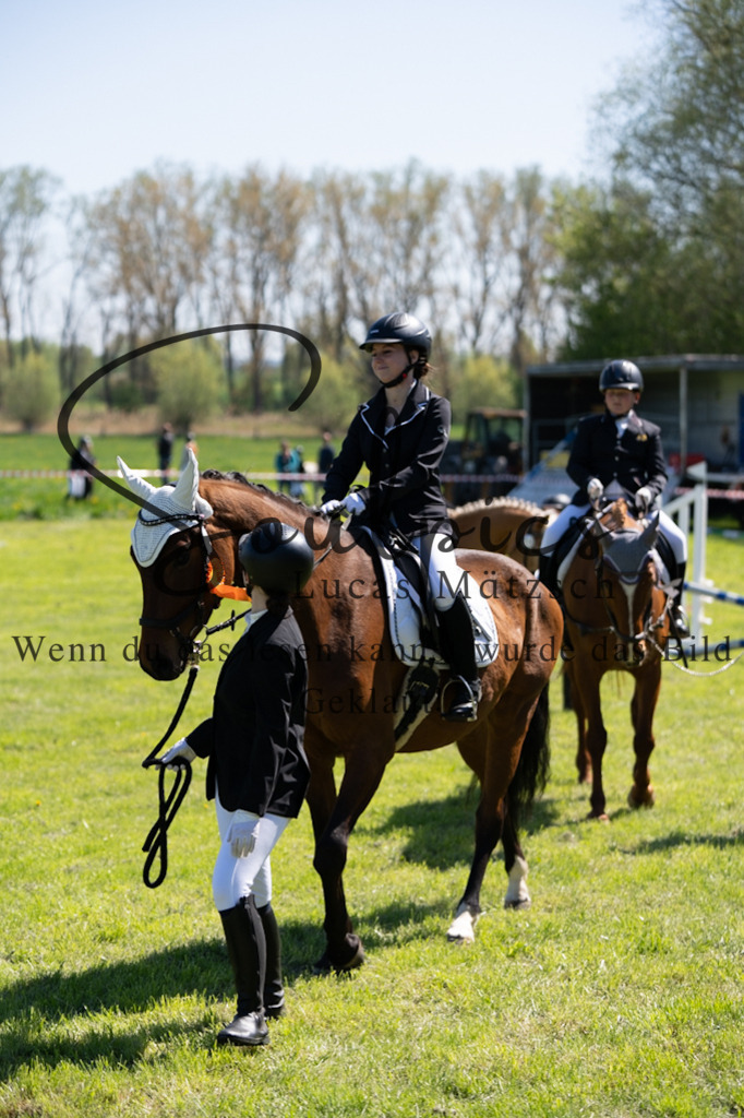 A7V01245 | Pferdefotograf