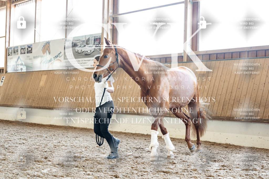 CK907667 | Turnierfotografie Pferdefotografie Trier Rheinland-Pfalz Pferdesport Reitsport Tierfotografie Sportfotografie Pferdevideo Pferdevideografie Equestrianvideography equestrianphotography  - Realisiert mit Pictrs.com