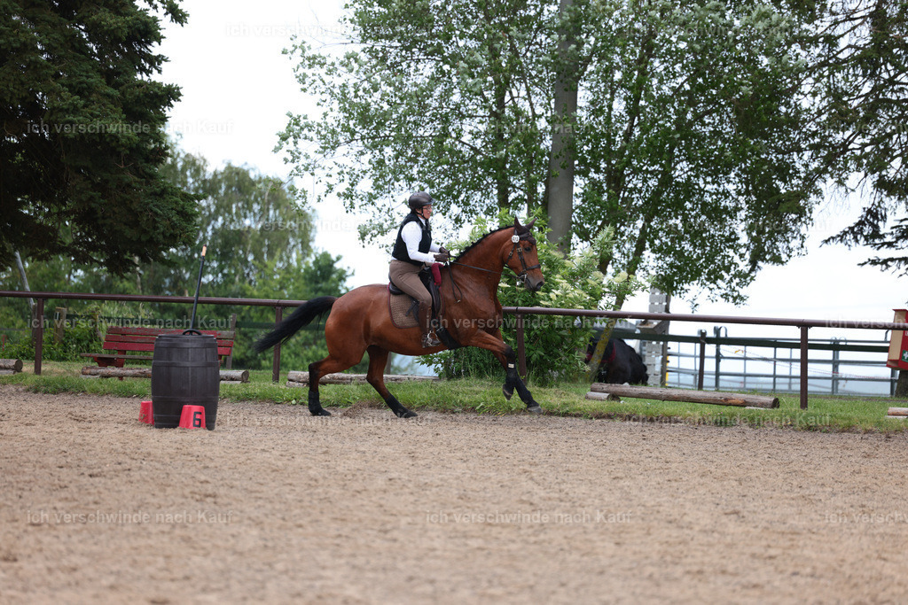 KlasseL_Stoibphotography_CAM23737.JPG | working equitationturnier fotograf videograf stoibphotography marixx film working equitation deutschland reitsport turnierfotografie eventfotografie equestrian events
