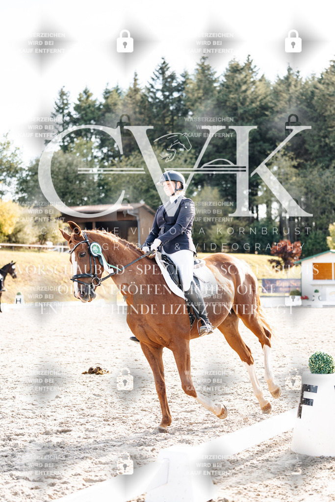 CK901793 | Turnierfotografie Pferdefotografie Trier Rheinland-Pfalz Pferdesport Reitsport Tierfotografie Sportfotografie Pferdevideo Pferdevideografie Equestrianvideography equestrianphotography  - Realisiert mit Pictrs.com