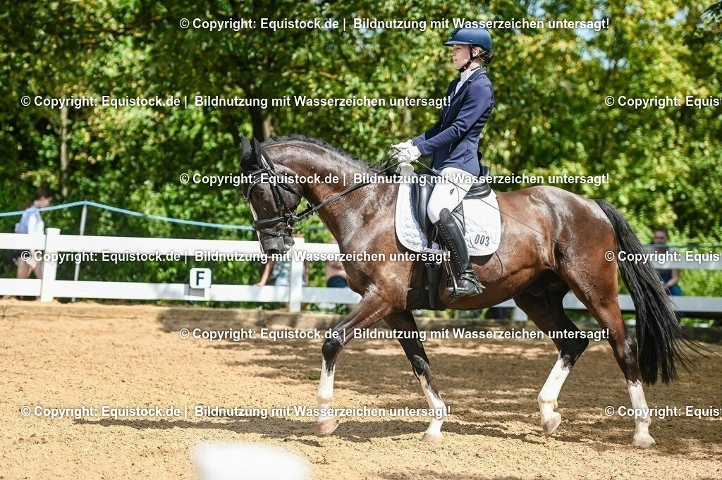 20230715_02_Dressurreiterprüfung Kl.L_0267 | equistock