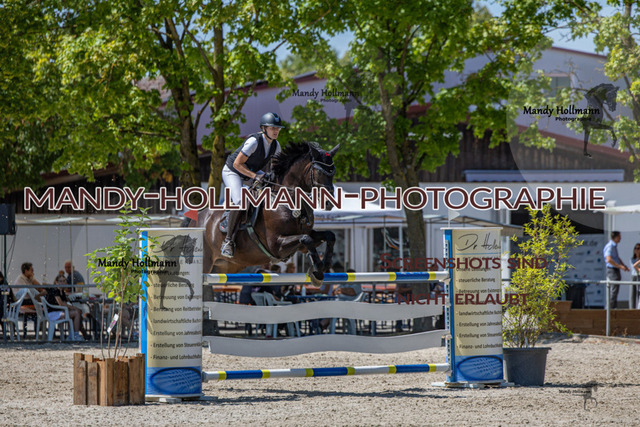 26-7-24 SPF m++-378 | mandyhollmannphotographie