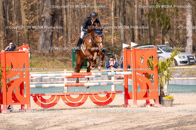 Kranichstein Tag 2-1982 | dv-media-shop - Realized with Pictrs.com