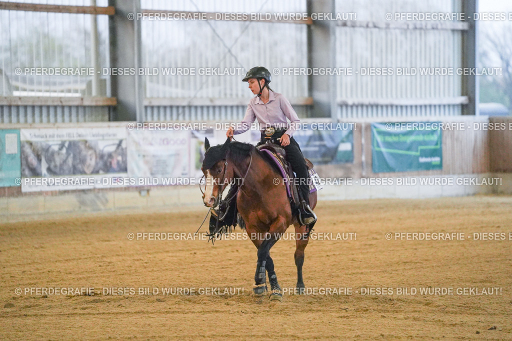 DSC09340 | Pferdegrafie