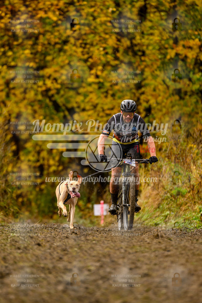 MompixPhotography_ICF_WC_2024_SA_Bike_-49 | PayLife