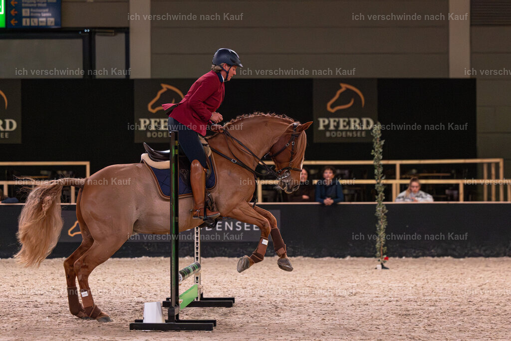 JoseraCup-73 | working equitationturnier fotograf videograf stoibphotography marixx film working equitation deutschland reitsport turnierfotografie eventfotografie equestrian events