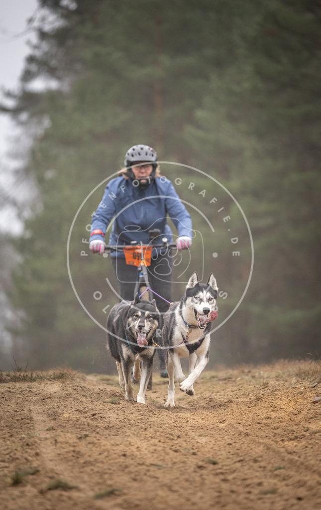 Pfotenfotografie_DV3A1205 | Hundefotografie, Tierfotograf, Pfotenfotografie, Fotoshooting Hund, Hunde Portrait, Hundesport, Hundeportraits, Heideshooting, Hunde, Sportfotograf, Hundefotograf, Turnierhundsport, THS,  - Realisiert mit Pictrs.com