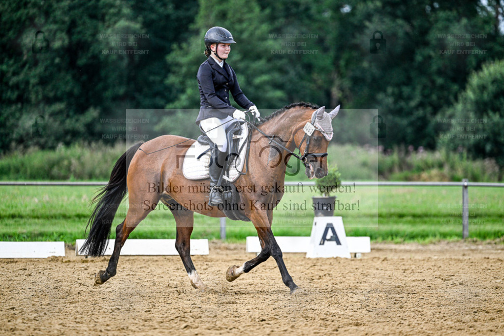 Reitturnier Hasbergen | Entdecke hochwertige Reitturnierfotos von Foto Oger. Professionell, emotional und authentisch – jetzt Lieblingsmomente im Shop bestellen. - Realisiert mit Pictrs.com