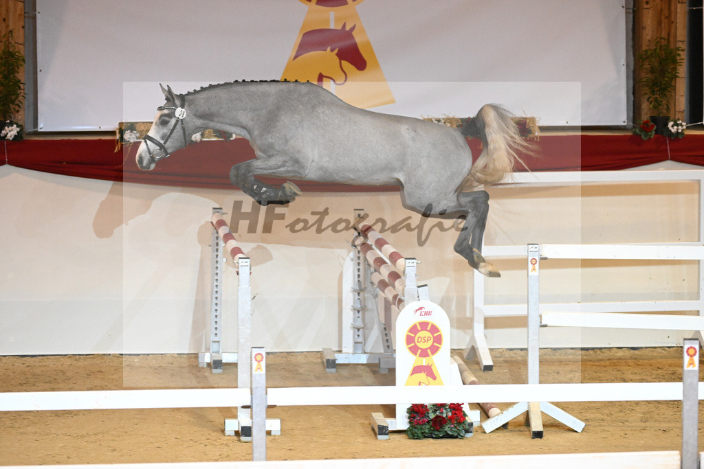 Kat-Nr. 36 Vingino_Stahl_1231083 | hf-fotografie - Realisiert mit Pictrs.com
