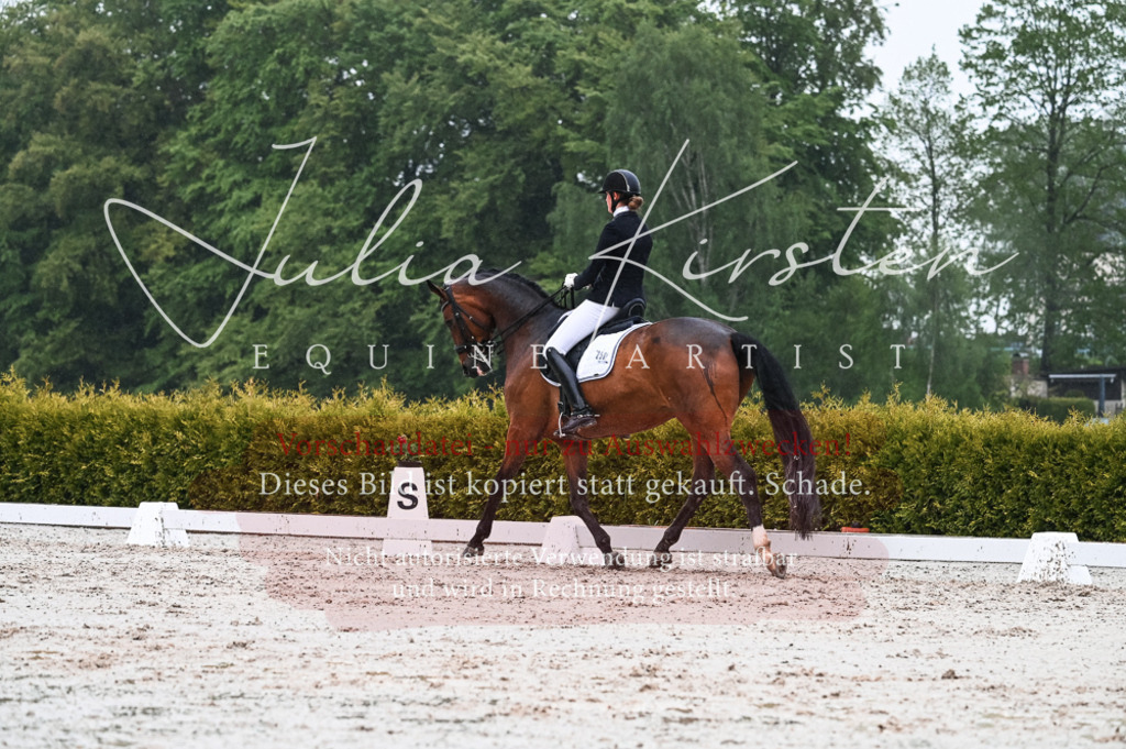 DSC_4561 | Pferde- und Turnierfotografie in Westsachsen. Pferdeportraits, Auftragszeichnungen und intuitive Kunst.