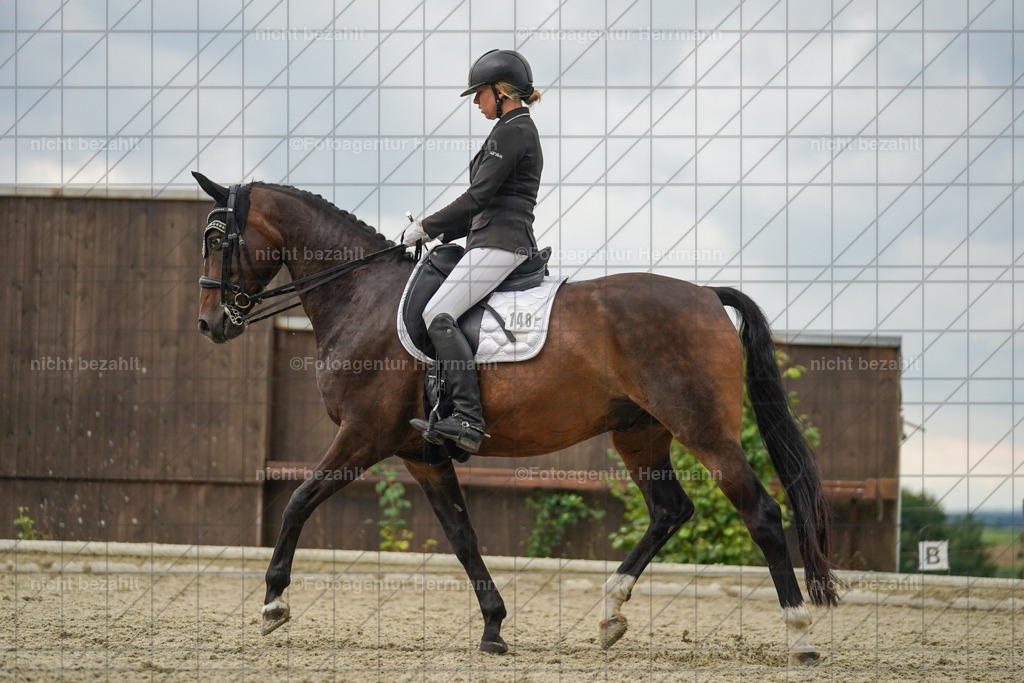 20230826-FAH06274 | Forstinning, 2023, Dressurturnier, Turniersportbilder, Turnierfotografen Bayern, Fotoagentur Herrmann, Reitsportfotografie, Turnierbilder