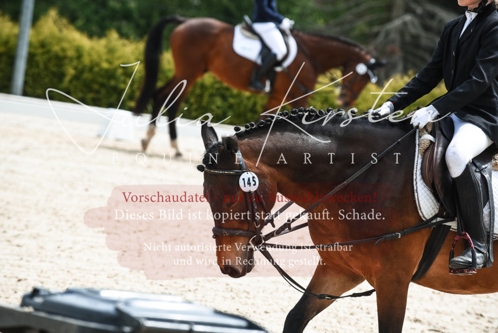 20230518_JK-Röhrsdorf-11-0134 | Pferde- und Turnierfotografie in Westsachsen. Pferdeportraits, Auftragszeichnungen und intuitive Kunst.