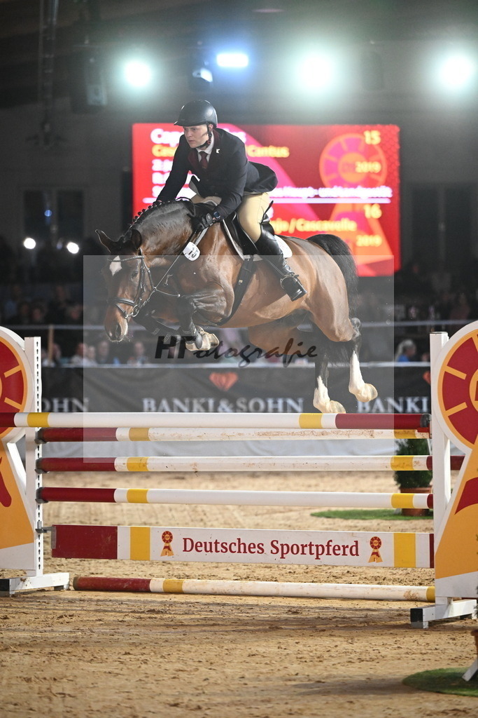 Cape Calidus_2241940 | hf-fotografie - Realisiert mit Pictrs.com