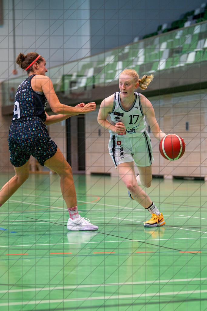 @Martin König_20240901__DSC7368 | bullenfotos|de - Realisiert mit Pictrs.com