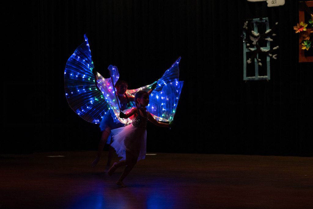 DSC08699 | Tinu Müller Fotografie- Bildershop - Realisiert mit Pictrs.com