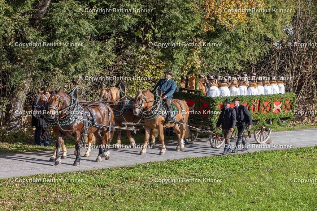 LBT24-251 | foto-bettina-krinner - Realisiert mit Pictrs.com