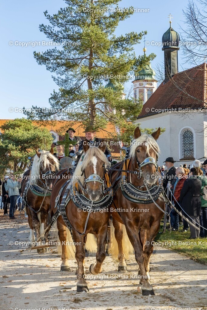 LBT25-1248 | foto-bettina-krinner - Realisiert mit Pictrs.com