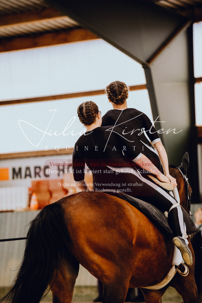 DSC_6905 | Pferde- und Turnierfotografie in Westsachsen. Pferdeportraits, Auftragszeichnungen und intuitive Kunst.