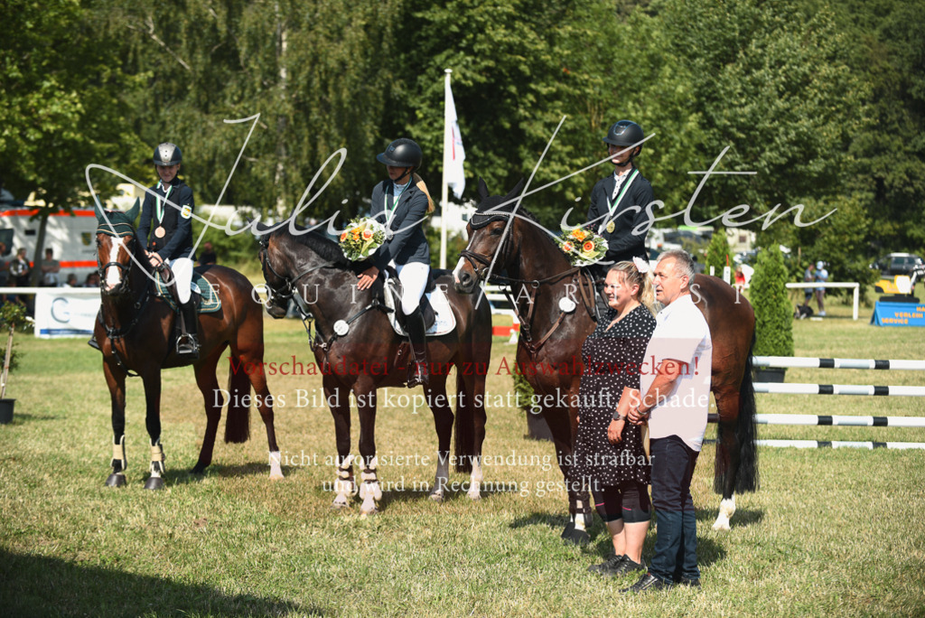 DSC_2635 | Pferde- und Turnierfotografie in Westsachsen. Pferdeportraits, Auftragszeichnungen und intuitive Kunst.