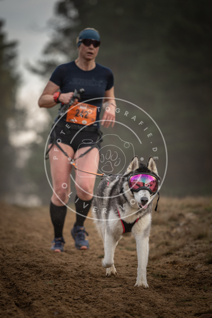 Pfotenfotografie_DV3A5812 | Hundefotografie, Tierfotograf, Pfotenfotografie, Fotoshooting Hund, Hunde Portrait, Hundesport, Hundeportraits, Heideshooting, Hunde, Sportfotograf, Hundefotograf, Turnierhundsport, THS,  - Realisiert mit Pictrs.com
