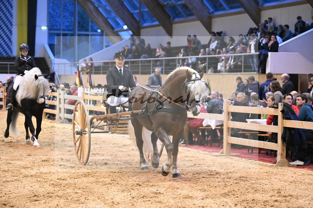 Schauprogramm_54222483 | hf-fotografie - Realisiert mit Pictrs.com