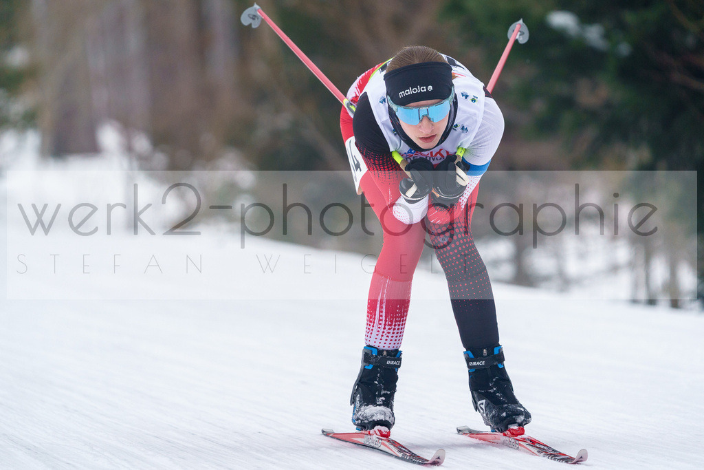 DSC Arber | Bayerischer Wald am 9. bis 12. Februar 2023
