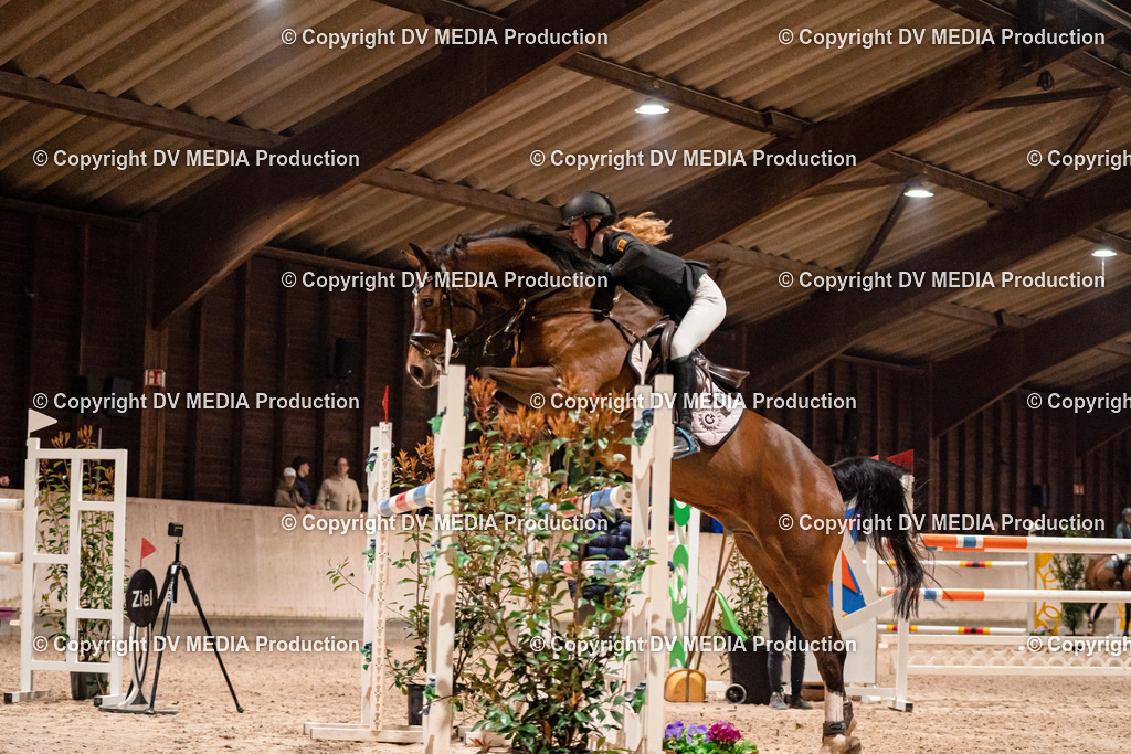 Springen Tag 2-950 | dv-media-shop - Realisiert mit Pictrs.com