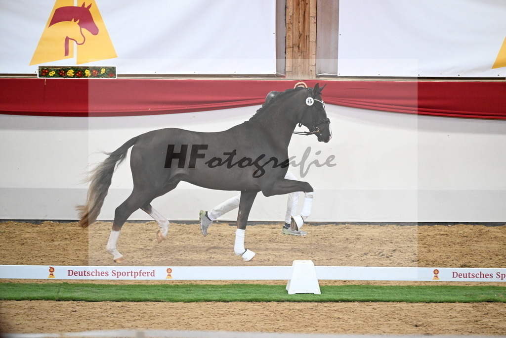 Kat.-Nr. 45 v. Bonds_Schafhof_2250052 | hf-fotografie - Realisiert mit Pictrs.com