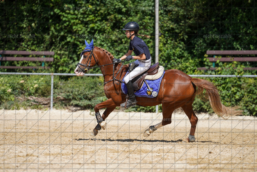 20240824-FAH08330 | Thierhaupten 2024, Bayerisches Landesponyturnier, Turnierbilder, Ponybilder, Turnierfotografen Bayern, Fotoagentur Herrmann
