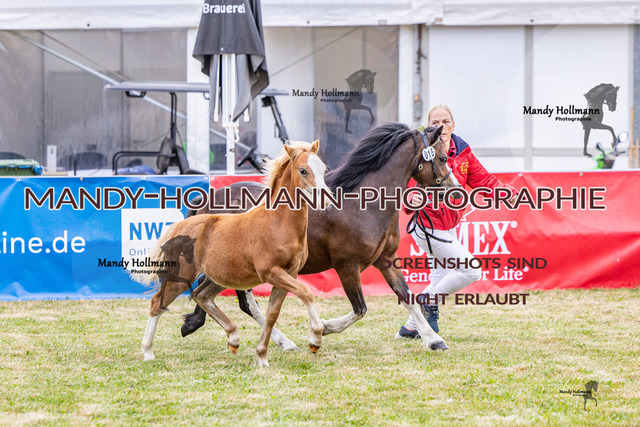 LTN 1 (515 von 918) | mandyhollmannphotographie