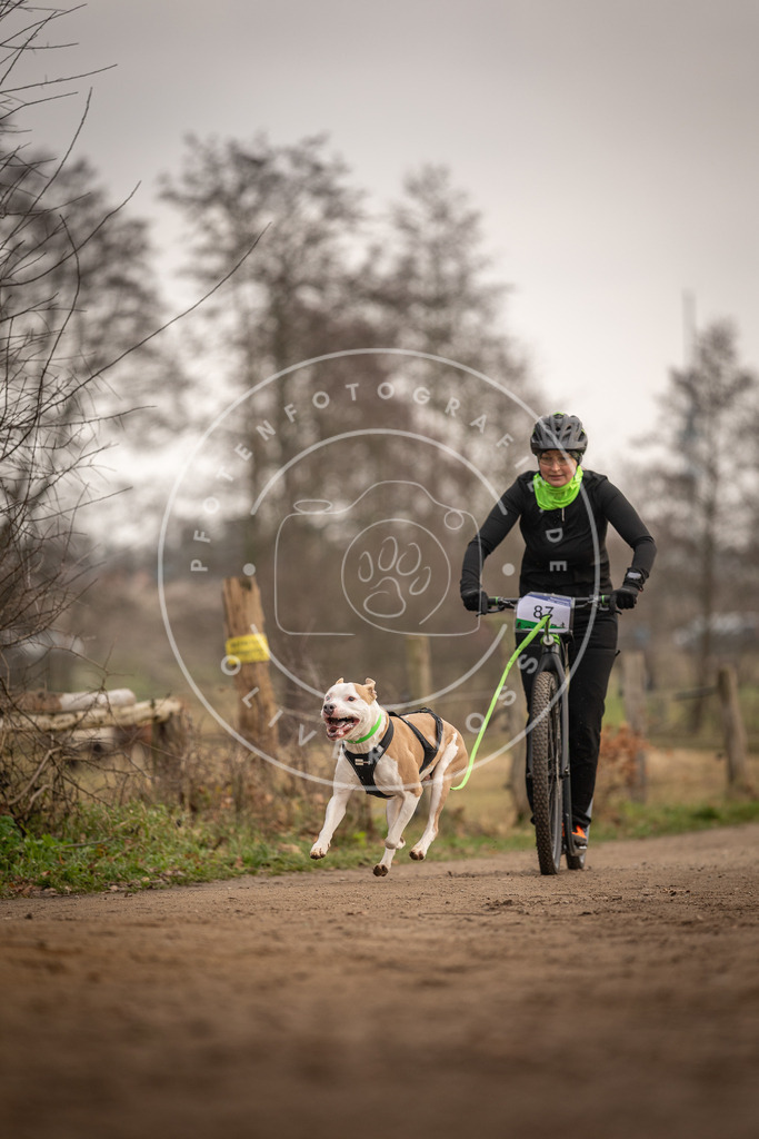 Pfotenfotografie_DV3A4136 | Hundefotografie, Tierfotograf, Pfotenfotografie, Fotoshooting Hund, Hunde Portrait, Hundesport, Hundeportraits, Heideshooting, Hunde, Sportfotograf, Hundefotograf, Turnierhundsport, THS,  - Realisiert mit Pictrs.com