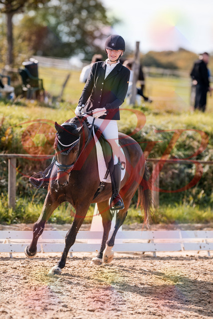 2026_10_03_Siefer-Hof_125453_Z81_43356476 | Professionelle Reitsport-, Turnier- und Eventfotografie von Robert Broda. Galerien mit ausgewählten und bearbeiteten Bildern direkt online ansehen und bestellen.