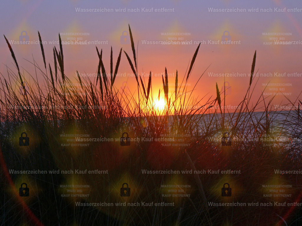 P1030252 | Fotoseite Wolkenblende - Das Hobby fotografieren begleitet mich schon  viele  Jahre. Auf den nächsten Seiten zeige ich ein paar Schnappschüsse der letzten Jahre und es kommen immer neue hinzu. Schau einfach mal rein. - Realisiert mit Pictrs.com