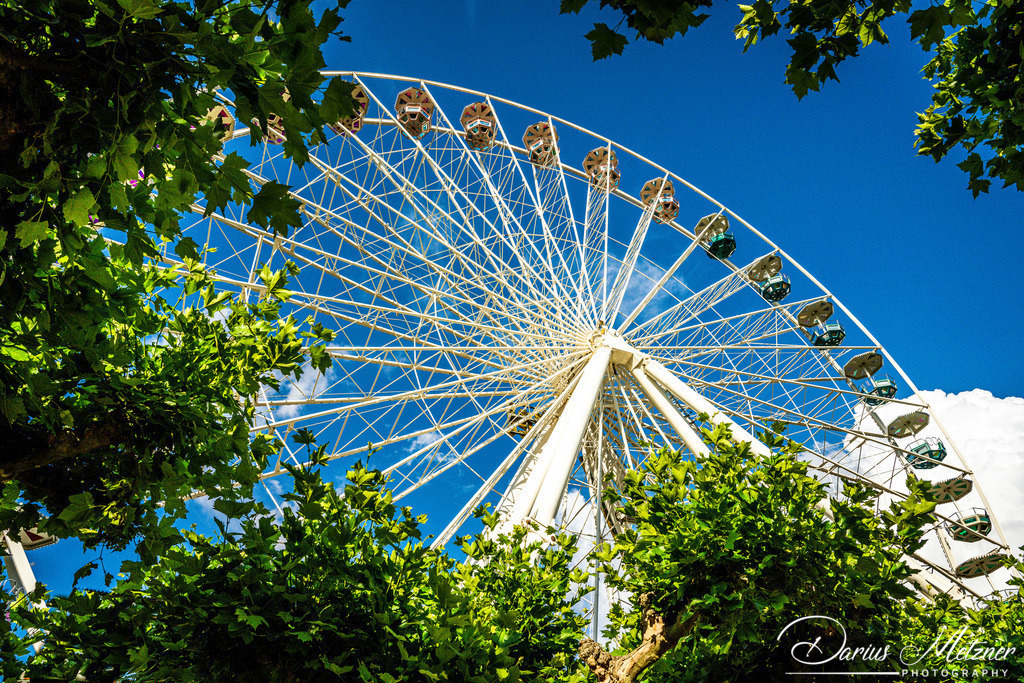 _DSC2201 | Fotografien, Fotos und Bilder aus Mainz, Frankfurt, Wiesbaden und anderen Orten auf der Welt - Fotografiert von Darius Metzner