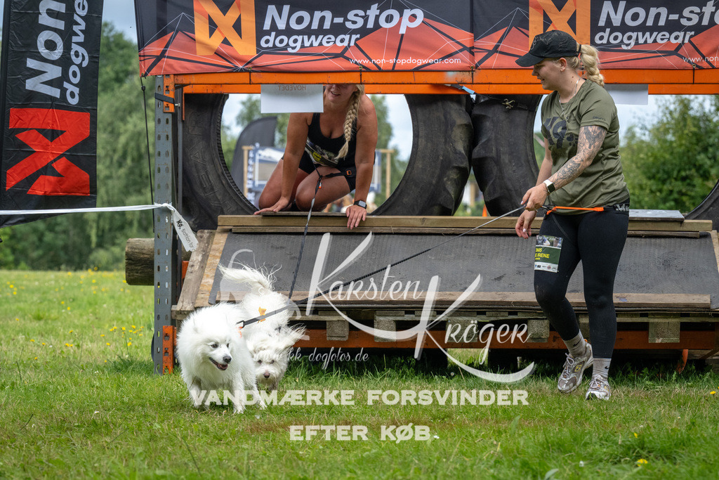 1209_ZZ93536 | kk-dogfotos