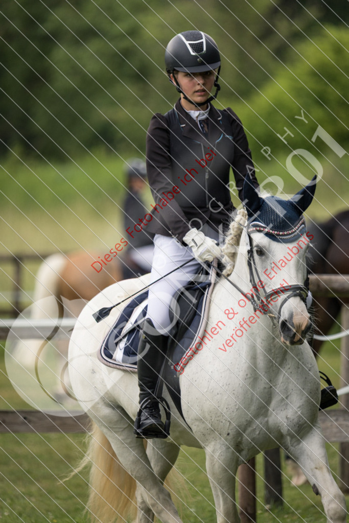 IMG_2498 | Sport-, Event- und Tierfotos in Profiqualität. Einfach auswählen, bestellen und herunterladen. Dein Moment – perfekt festgehalten.