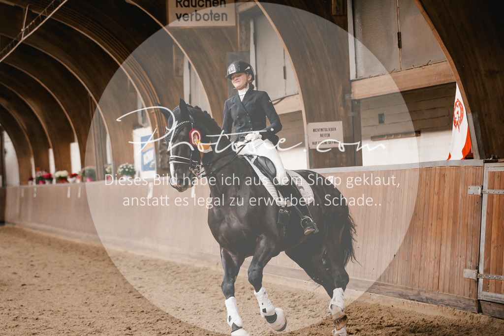 3I6A9137 | Stimmungsvolle Portraits und Reitsportfotografie im Ruhrgebiet und im Münsterland.

Pferdefotografie, Hundefotografie, Tierfotografie, Reportagen, Portraits von Tier und Mensch, Turnierfotografie in Bochum, Recklinghausen, Marl, Haltern am See, Dülmen.. - Realisiert mit Pictrs.com
