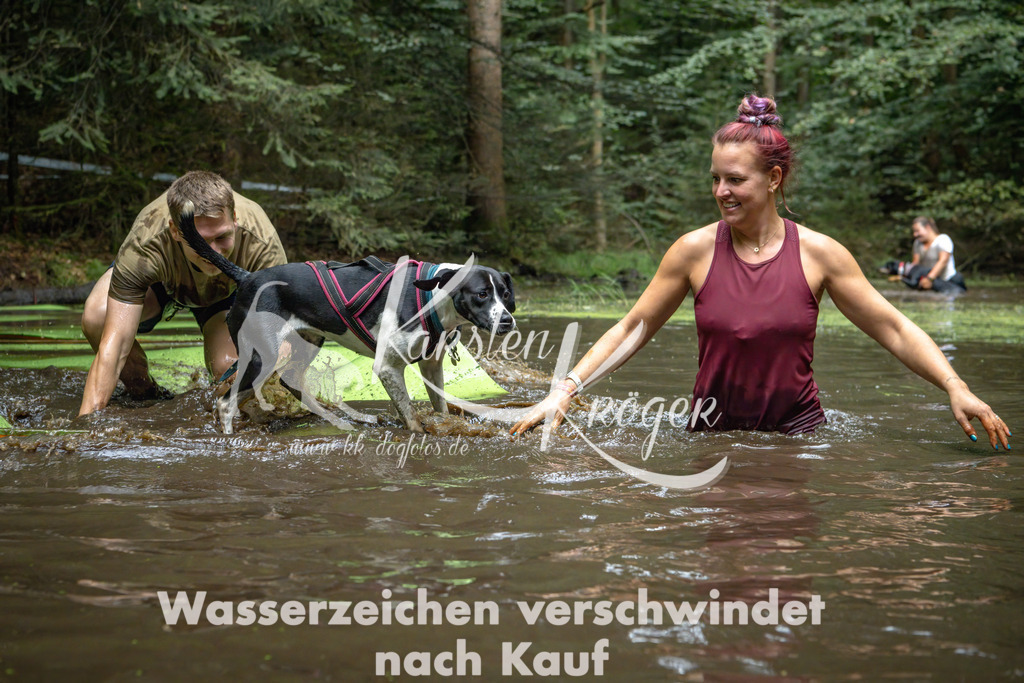 1533_ZZ91314-Bearbeitet | kk-dogfotos