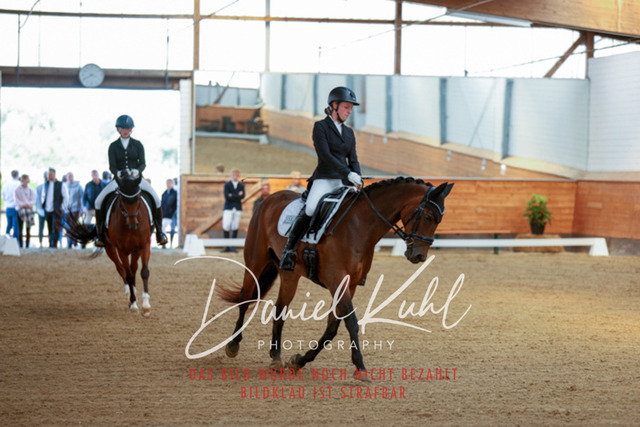 _62_7432 | Turniersportfotografie; Pferdefotografie; Dressurfotografie