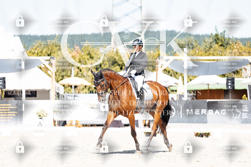 CK909125 | Turnierfotografie Pferdefotografie Trier Rheinland-Pfalz Pferdesport Reitsport Tierfotografie Sportfotografie Pferdevideo Pferdevideografie Equestrianvideography equestrianphotography  - Realisiert mit Pictrs.com