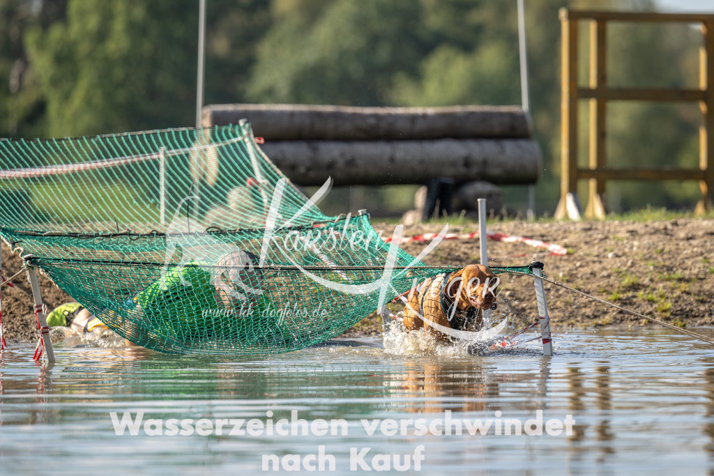 1307_ZZ94721 | kk-dogfotos