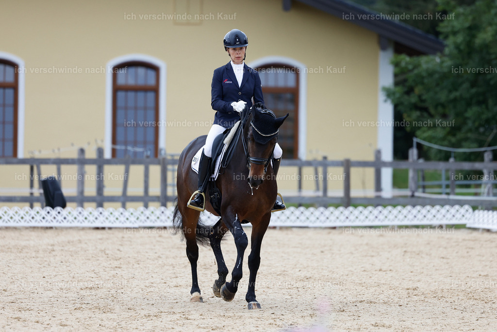 3-241-Dressur M_-StoibPH-2331 | working equitationturnier fotograf videograf stoibphotography marixx film working equitation deutschland reitsport turnierfotografie eventfotografie equestrian events