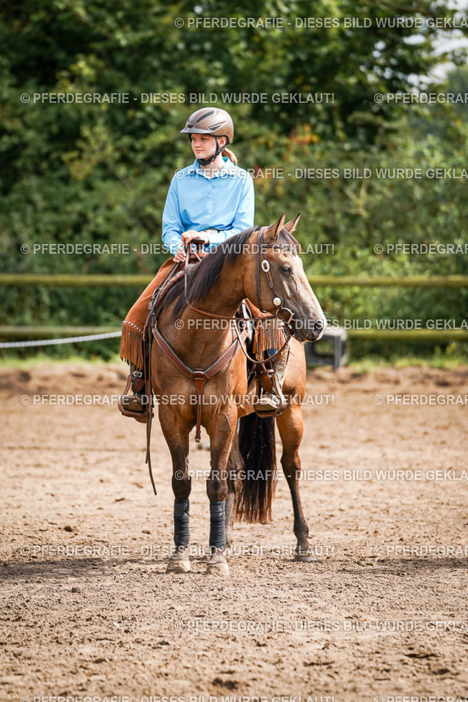 DSC08437 | Pferdegrafie