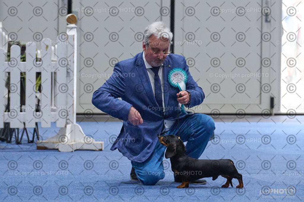 202406_ÖKV-IHA-Tulln24_DSC_3010 | proPHOTO - Realisiert mit Pictrs.com