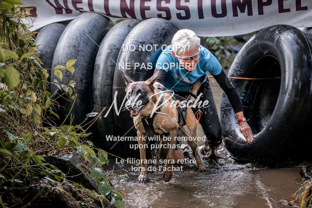 nelerasche_Hunsrück2026_Sa1400-1500_109 | nelerasche