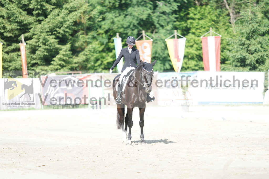 DSC04510 | equestrian-live-com