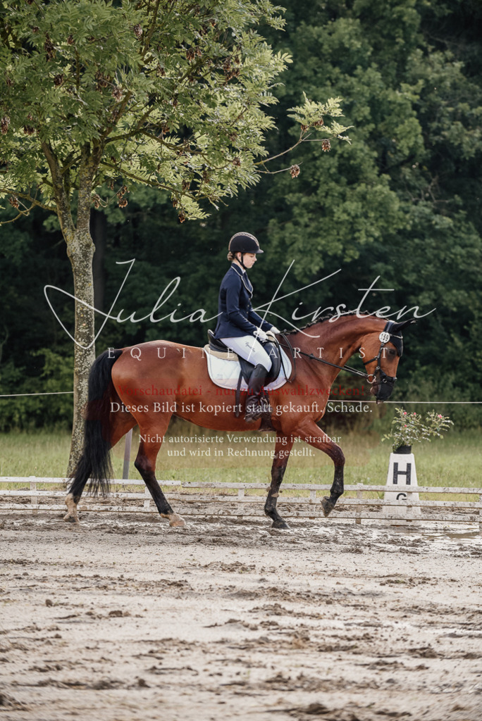 DSC_8414 | Pferde- und Turnierfotografie in Westsachsen. Pferdeportraits, Auftragszeichnungen und intuitive Kunst.