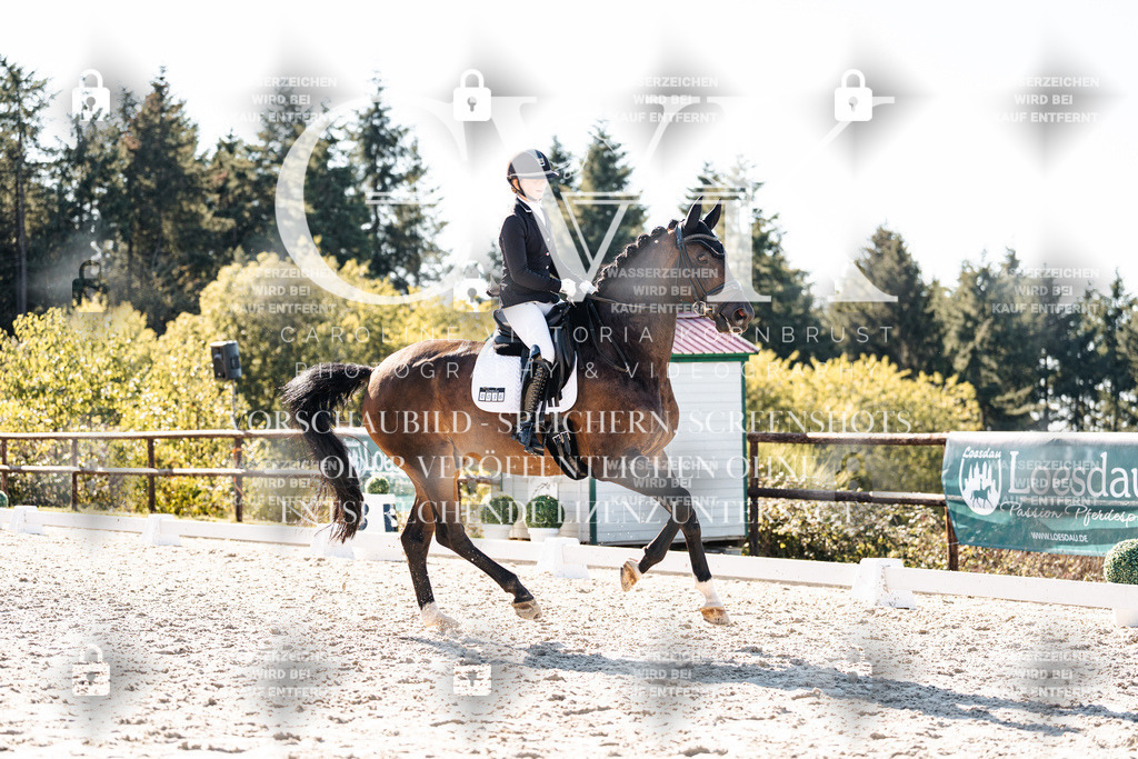 CK905966 | Turnierfotografie Pferdefotografie Trier Rheinland-Pfalz Pferdesport Reitsport Tierfotografie Sportfotografie Pferdevideo Pferdevideografie Equestrianvideography equestrianphotography  - Realisiert mit Pictrs.com