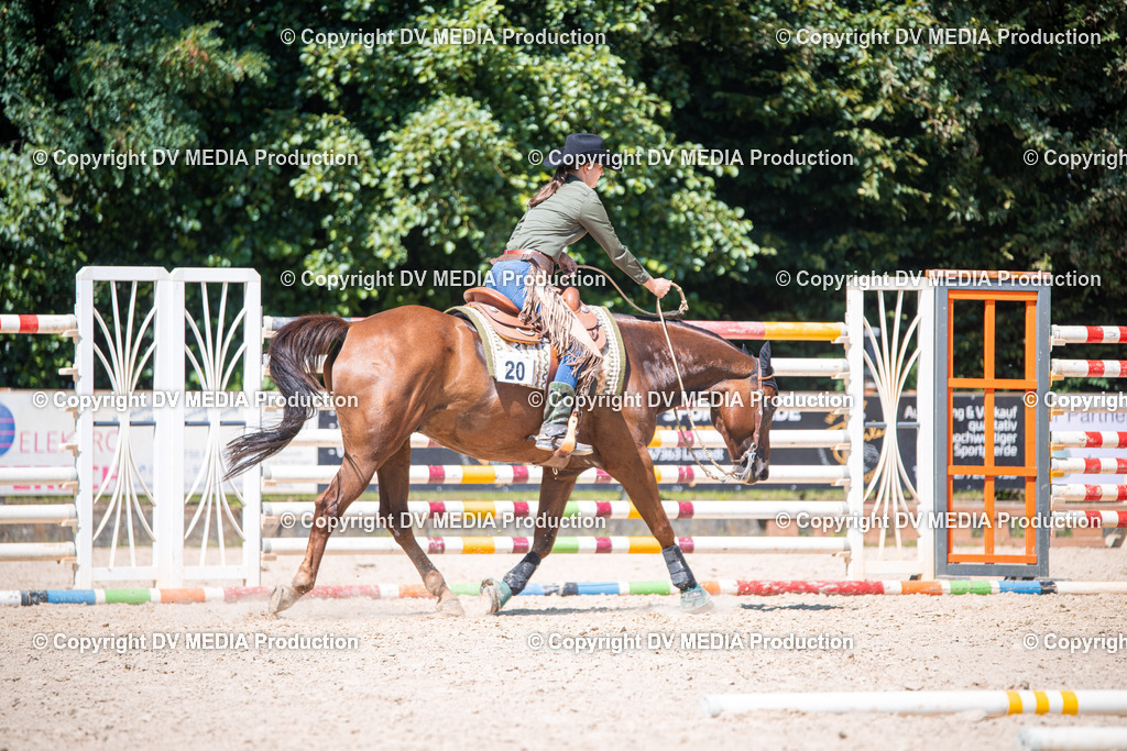 ZS1_1482 | dv-media-shop - Realisiert mit Pictrs.com