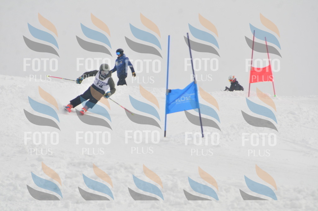 A5610 | holidayphoto